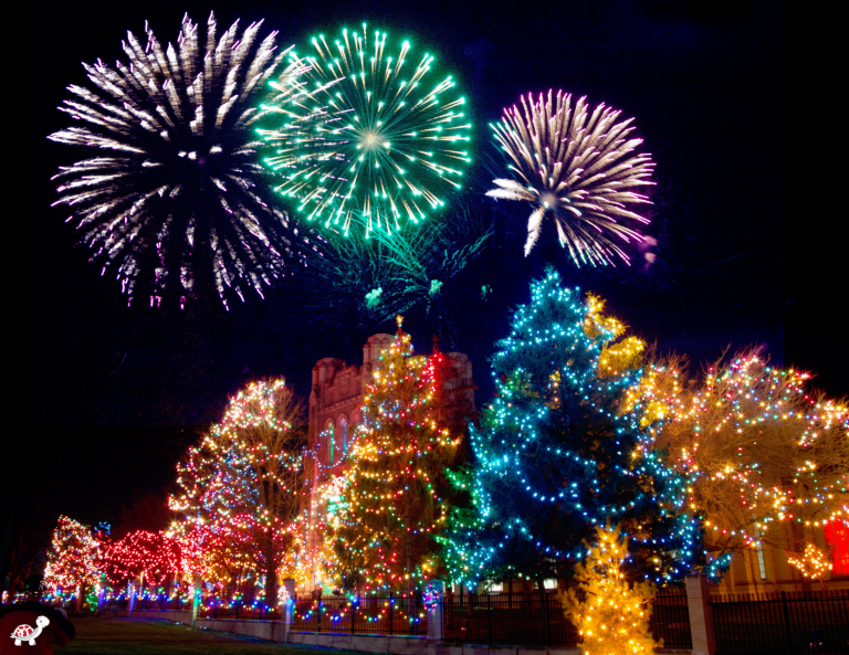 Christmas Lights Tours USA