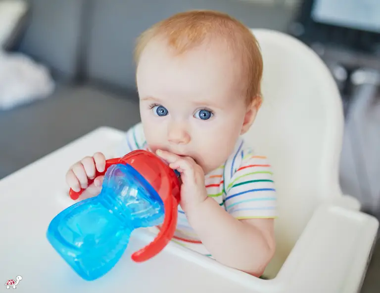 Best Sippy Cup for Travel