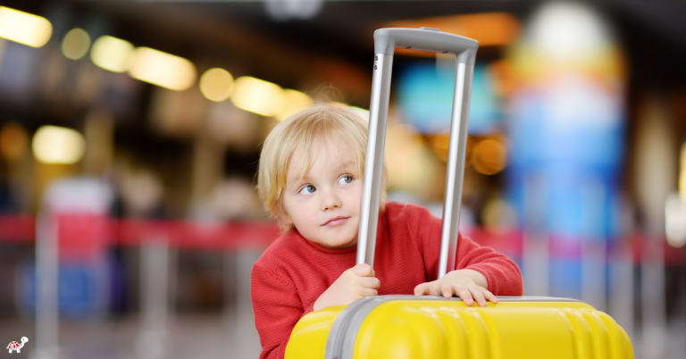 Toddler Travel Gear