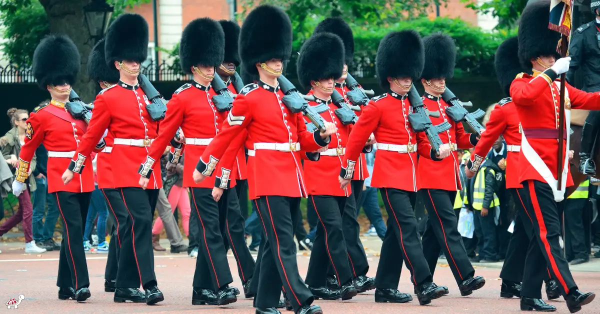 Changing of the Guards Tips for Families