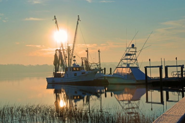 15 Best Family Activities In Hilton Head To Do On Your Travels (1)