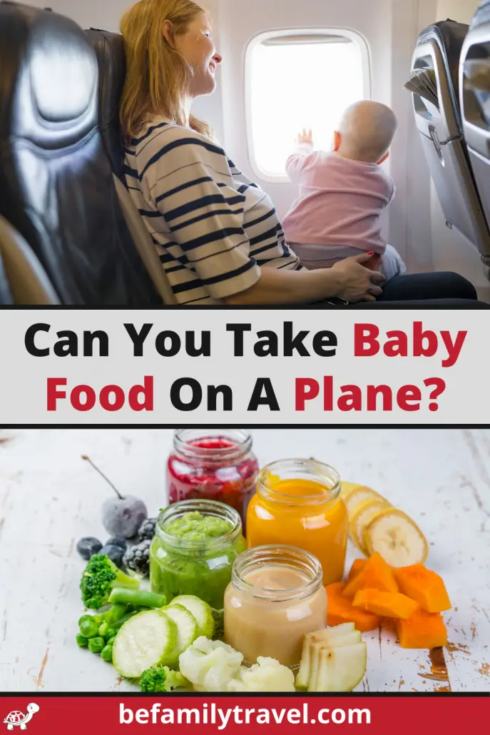 Can You Take Baby Food On A Plane?