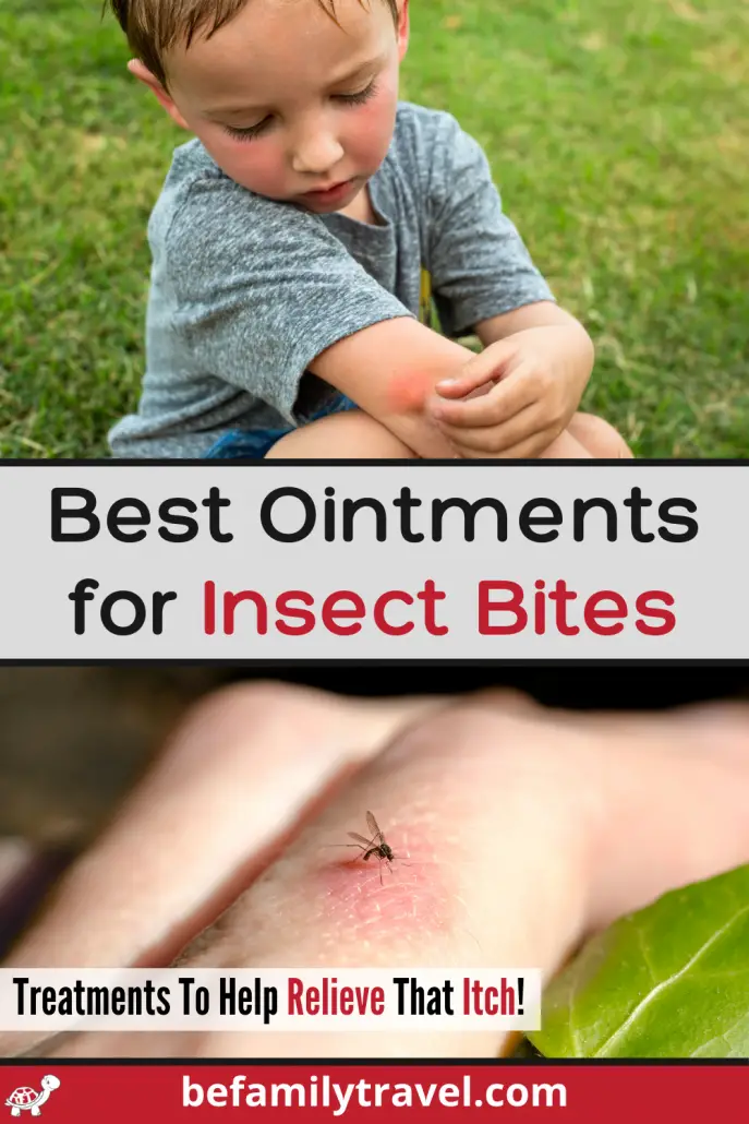 Best Ointments for Insect Bites