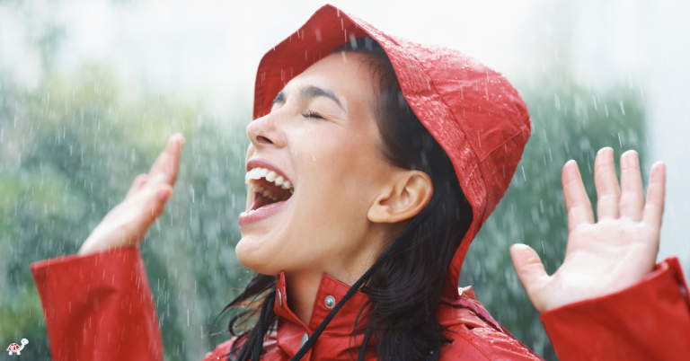 What to do at Disneyland when it rains