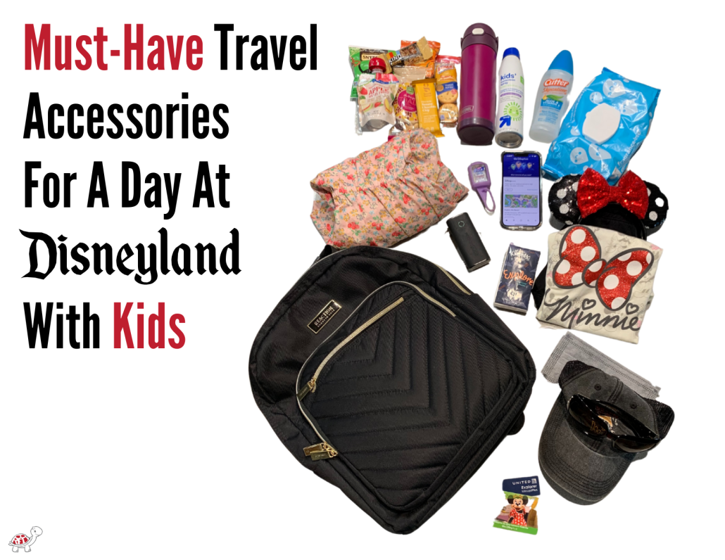 Must-Have Accessories for Disneyland Park backpack